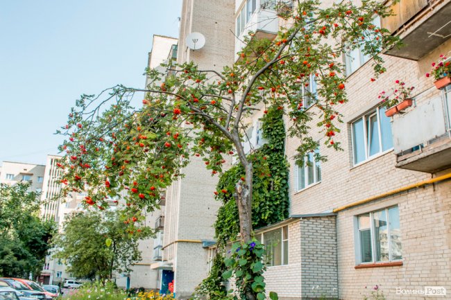 «Хто живе на ЛПЗ, тому у житті везе»: день на луцькому районі контрастів. ФОТО