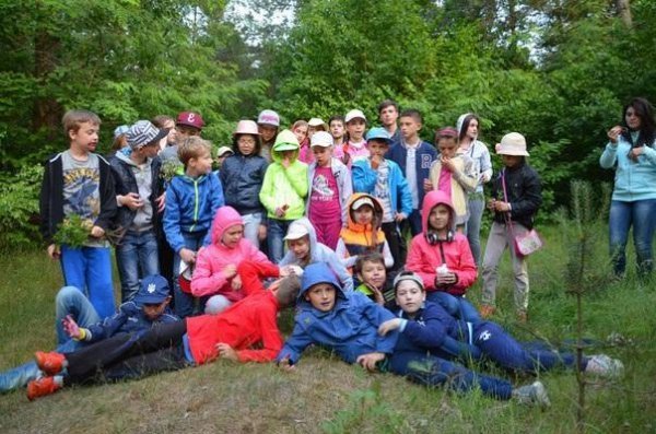 Дітей та дорослих запрошують на  навчання до «медової» мовної школи*