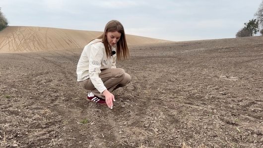 Гонки на полі: на Волині підлітки на мотоциклах понівечили три гектари посівів буряків. ФОТО