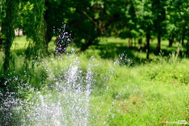 Літній день у центральному парку Луцька. ФОТОРЕПОРТАЖ
