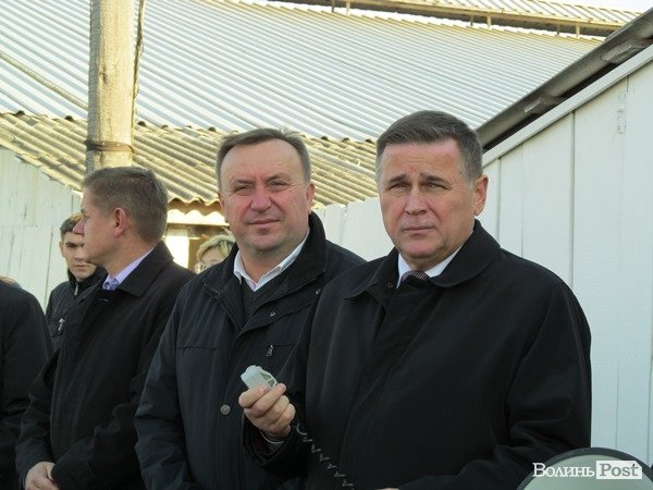 Де на Волині виробляють молоко для європейців. ФОТО