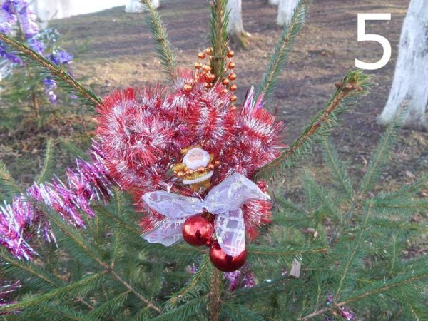 У Луцькому зоопарку обирають кращу новорічну іграшку. ФОТО