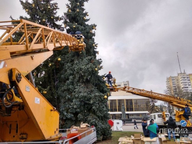 Головна ялинка Луцька цьогоріч буде в золотистих іграшках. ФОТО