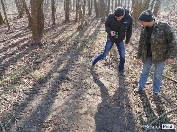 В лісі на Волині знайшли рештки зубра. ФОТО