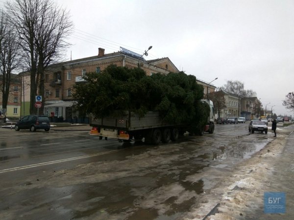 Головна ялинка Нововолинська – заввишки з 5-поверхівку
