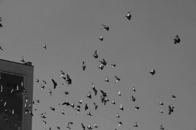 У Луцьку попрощалися із Героєм Валентином Потапчуком. ФОТО