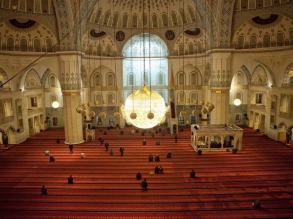 Найкращі фото місяця від National Geographic