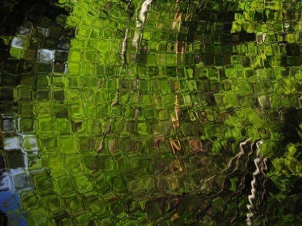 Найкращі фото місяця від National Geographic