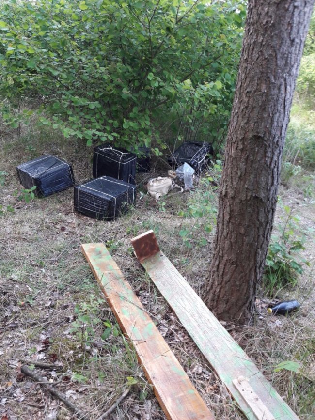 У лісі на Волині виявили сховок із контрабандними цигарками