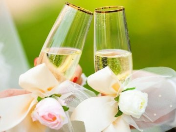 На Волині від початку року за добу одружилися майже 700 закоханих пар