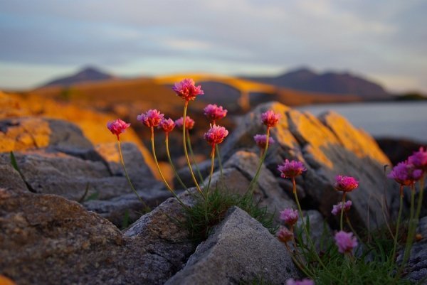 Норвегія, Атлантична дорога