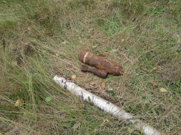 На Волині діти під час прогулянки у лісі знайшли артснаряди