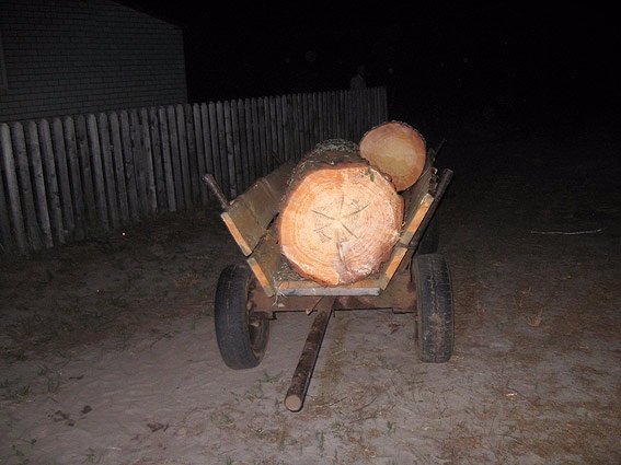 На Волині піймали крадія лісу. ФОТО
