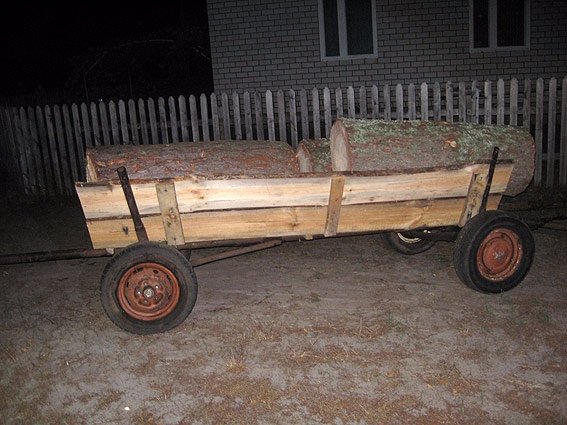 На Волині піймали крадія лісу. ФОТО