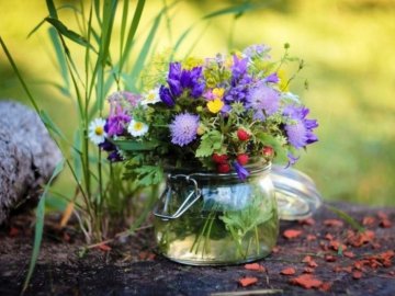 Погода на завтра, 8 червня, у Луцьку та Волинській області