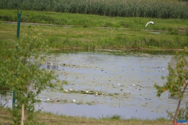 Як молодь прибирала Ковельське водосховище. ФОТО