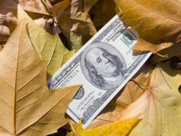 Долар почав дорожчати: курс валют у Луцьку на 20 листопада
