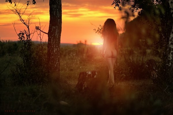 Фотовиставка Вадима Павлосюка