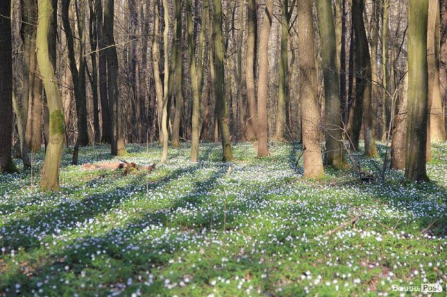 Мальовничі села в об'єктиві волинського фотографа. ФОТО