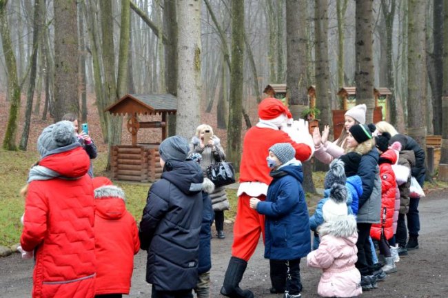Майстер-класи, пізнавальні екскурсії  і розваги з Сантою: як на Волині діє Лісівничий молодіжний центр