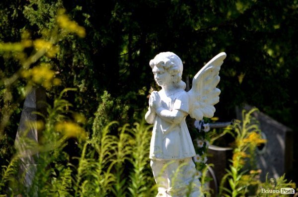 На кладовищі Луцька повалені пам'ятники, а могили заросли чагарниками. ФОТО