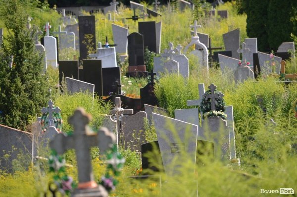 На кладовищі Луцька повалені пам'ятники, а могили заросли чагарниками. ФОТО