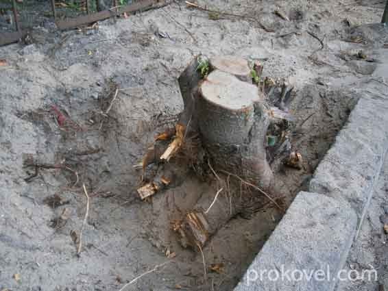 У Ковелі завершують будівництво екстрим-майданчика. ФОТО