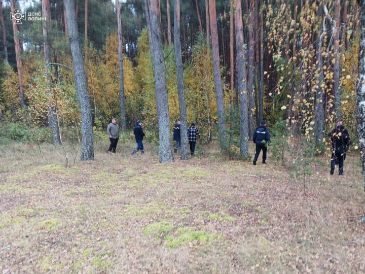 Пішла по гриби - і зникла: лучанку знайшли у лісі мертвою