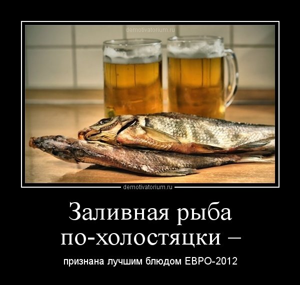 Кращі інтернет-жарти про Євро-2012. ФОТО. ВІДЕО