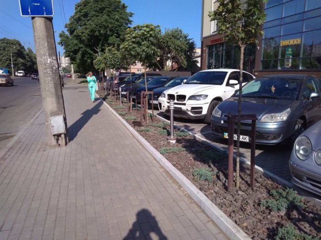 На одній із вулиць Луцька чотири дні не забирають труп кота. ФОТО