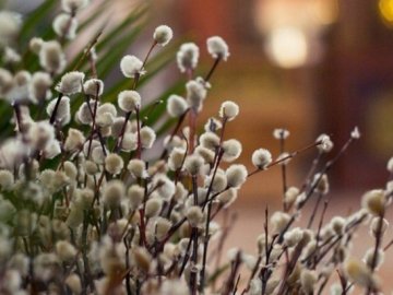 Погода в Луцьку та Волинській області на завтра, 20 березня