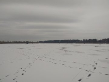 Рибоохорона влаштувала облаву на заплаві Стиру. ФОТО