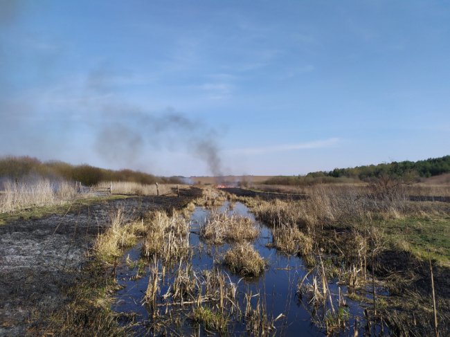 Волинські рятувальники ліквідували 14 пожеж сухої трави