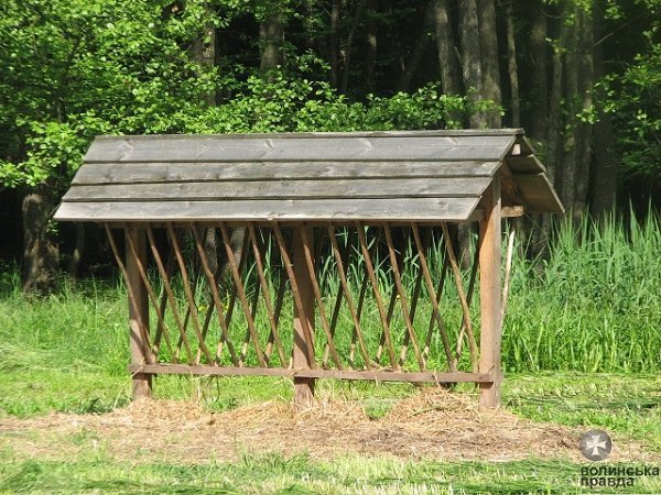 Волинські депутати проінспектували мисливські угіддя області. ФОТО