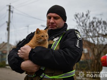 Поліція рятує домашніх тварин у вщент зруйнованому Оріхові