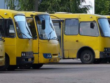 У Луцьку шукають перевізників на два маршрути