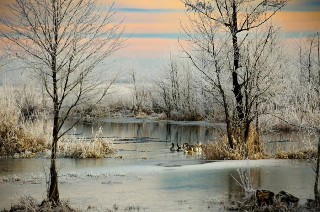 Неймовірна краса зимової річки на Волині. ФОТО