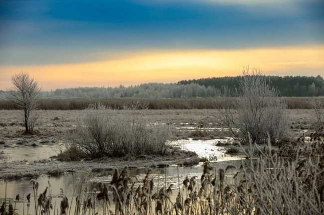 Неймовірна краса зимової річки на Волині. ФОТО