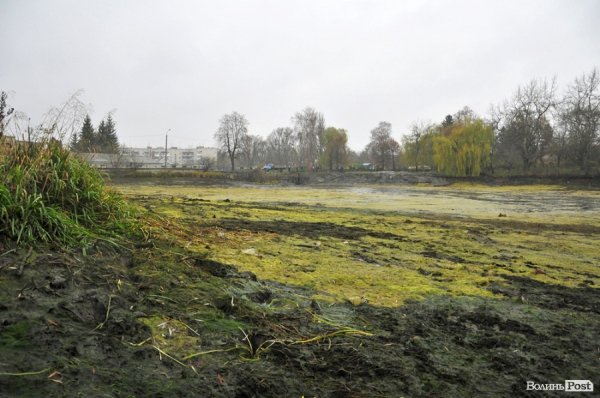 Як чистять ставки в Теремно. ФОТО