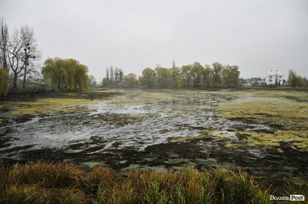 Як чистять ставки в Теремно. ФОТО