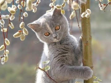 Погода у Луцьку на завтра, 25 березня