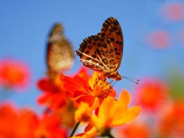 Погода в Луцьку та Волинській області на неділю, 14 червня