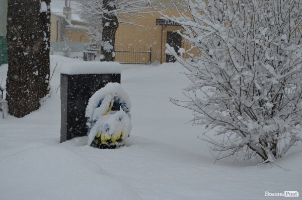 Снігопад у Луцьку. ФОТО