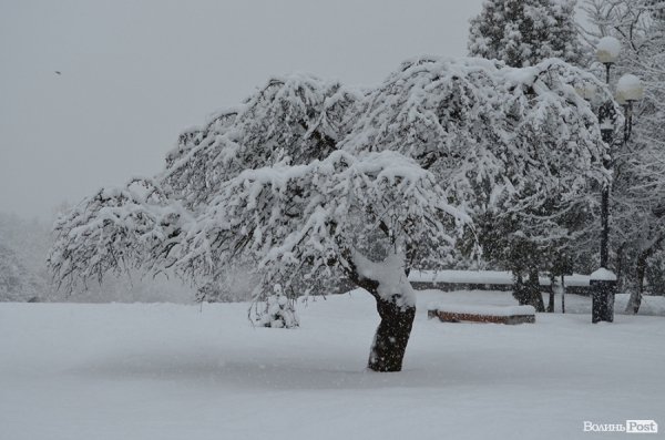 Снігопад у Луцьку. ФОТО