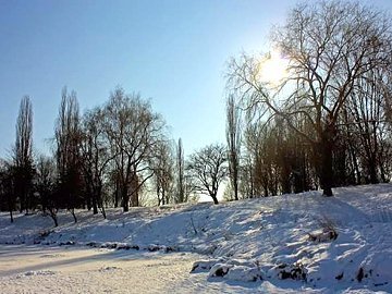 Парк 900-річчя Луцька обіцяють розчистити вже у січні