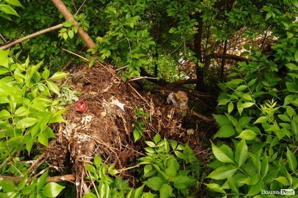 У Луцьку величезне сміттєзвалище «не помічають» більше 10 років