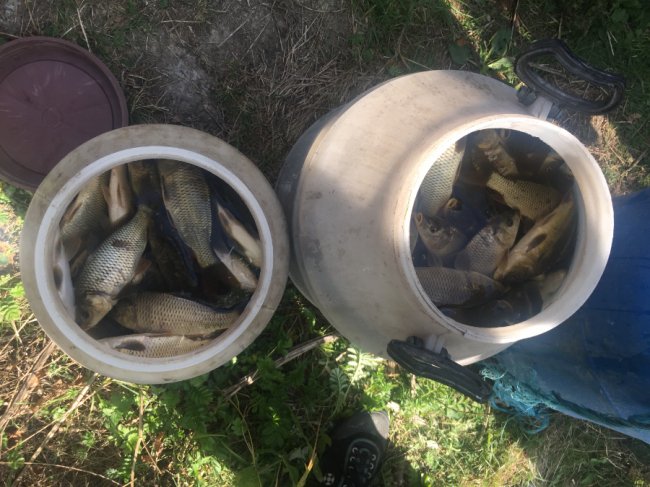 У Луцьку зарибнили річку. ФОТО