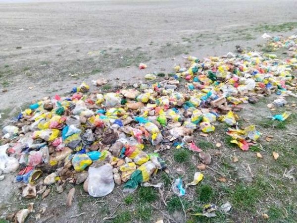 На Рівненщині біля дороги викинули цілу автівку хліба. ФОТО