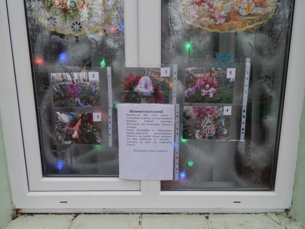 У Луцькому зоопарку обирають кращу новорічну іграшку. ФОТО