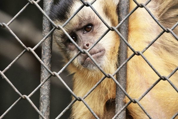 Фотовиставка Ані Мурзіної